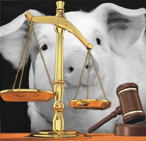 Direitos_Animal