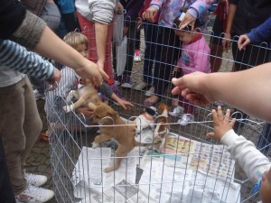 Feira_2011_08_13_004_Fco_Beltrao