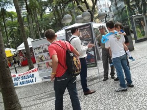 ATO_2011_10_08-2_004