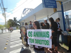 manifestacao_2011_11_02_003