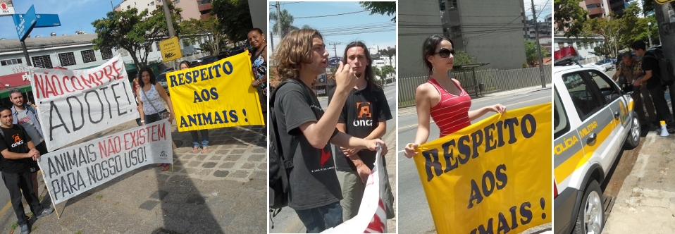 Manifestação pacífica pela não comercialização de animais – feira de pet shop – 24/12/2011