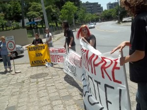 Manifestacao_2011_12_24_009