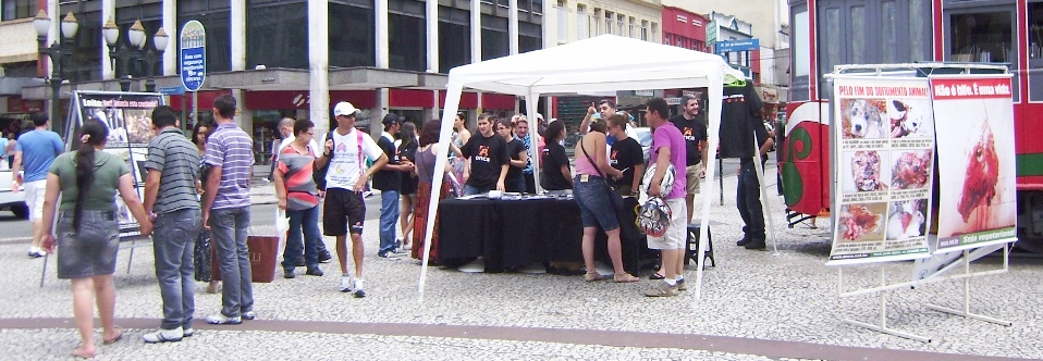 Ato informativo de fevereiro, Curitiba