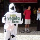 Passeio da Vaquinha 2011